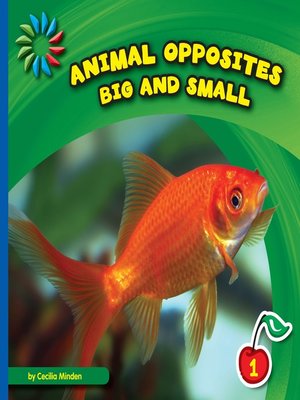 cover image of Big and Small